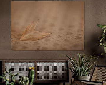 Minimalist photo of dried flower(s) by Marleen Schrijver