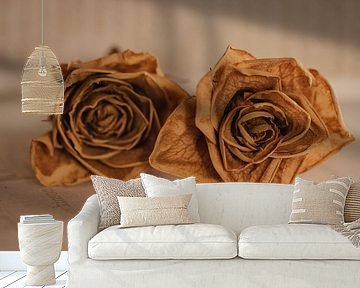 Minimalistische foto van gedroogde bloem(en) van Marleen Schrijver