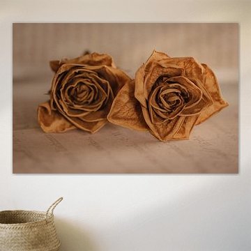 Minimalistisches Foto einer getrockneten Blume(n)