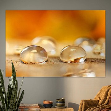 Honey drops by Carla Mesken-Dijkhoff