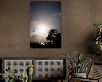 Palmbomen op strand met tegenlicht van Tim Emmerzaal