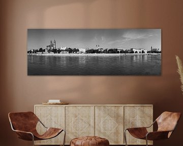 Panorama van Maagdenburg (zwart-wit) van Frank Herrmann