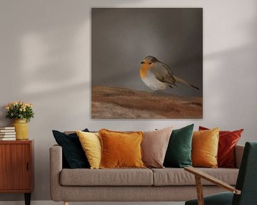 Lonely little robin by Emmy Van der knokke