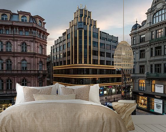 Aperçu de la chambre