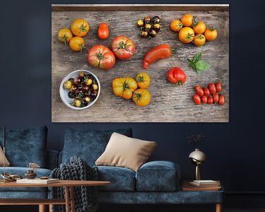 Aperçu de la chambre