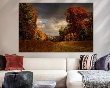 Couleurs d'automne et ciel hollandais sur la Veluwe sur KCleBlanc Photography