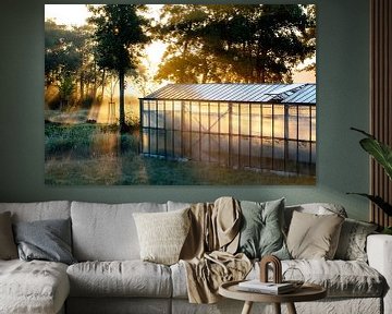 Greenhouse in the early morning light in Middle Delft country by Peter de Kievith Fotografie