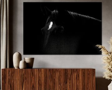 Essence of Elegance - Low-Key Horse Portrait by Femke Ketelaar