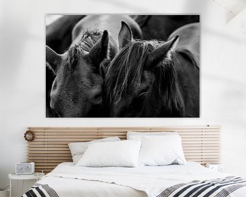 Fine Art Horses in a herd by Femke Ketelaar