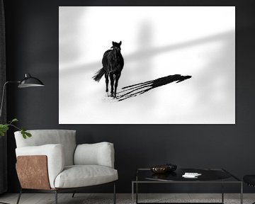 Fine Art silhouette van een zwart paard met schaduw van Femke Ketelaar