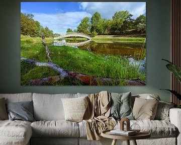 Amsterdam water supply dunes at their most beautiful by Peter Bartelings