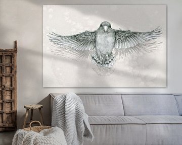 Vliegende papegaai potloodtekening van Bianca Wisseloo