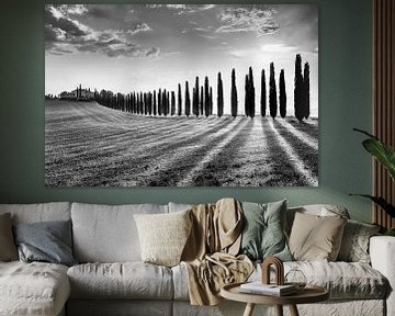 Cipressenpad met Finca / Boerderij in Toscane / Italië van Manfred Voss, Schwarz-weiss Fotografie