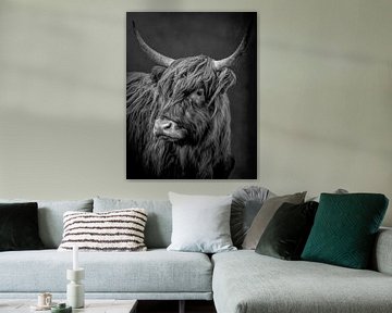Schotse Hooglander koe in dramatisch zwart-wit