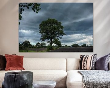 paysage de frites près de steenwijk sur anne droogsma