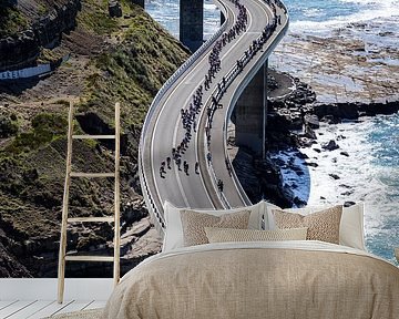 Sea Cliff Bridge by Leon van Bon