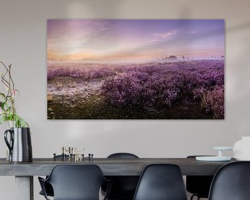 Purple heather Loonse and Drunense dunes by Boris Van Berkel