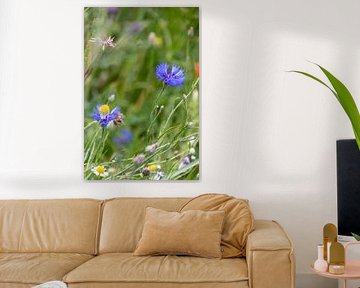 beautiful plants along the side of the road