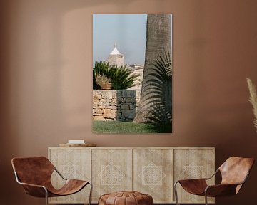 Ombre sur le palmier | Italie | Photographie de voyage | sur Marika Huisman fotografie