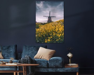 Windmill de Hommel in Haarlem among yellow mustard flowers by Thea.Photo