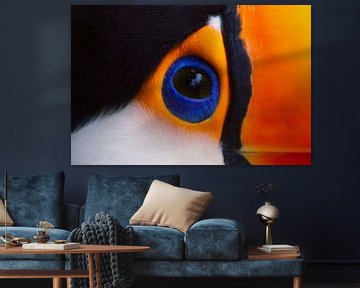 Toco toucan eye van BL Photography