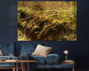 wall of star moss