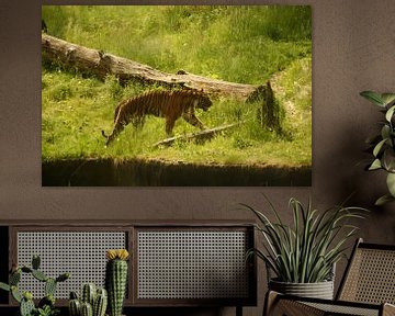 running tiger in green