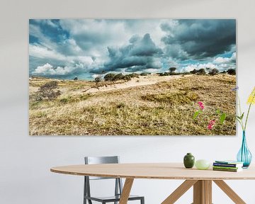 Herfst in het duin met een dreigende lucht van eric van der eijk