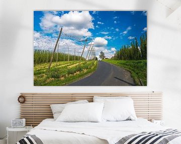 Hoptuin in de Hallertau van ManfredFotos