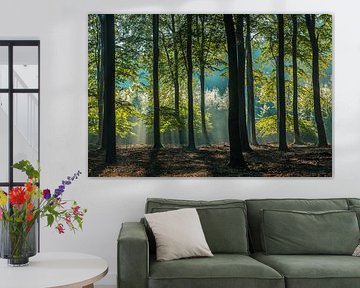 Speulderbos