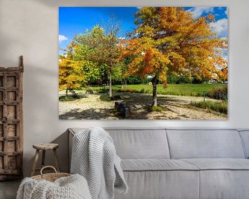 Arbres colorés dans le parc Saison Automne