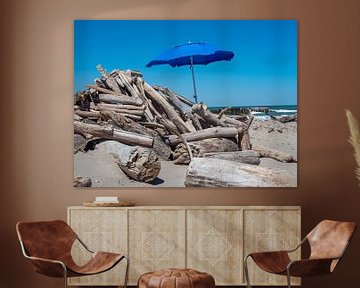 Plage naturelle avec parasol sur la mer Adriatique en Italie sur Animaflora PicsStock