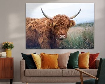 schottischer Highlander von Fine art by leeflang