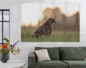 buizerd part 1 van Tania Perneel