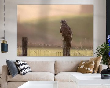 buizerd part 3 van Tania Perneel