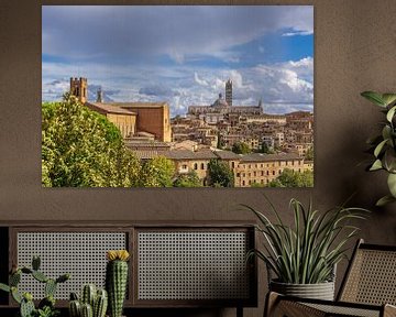 Blick über die Altstadt von Siena in Italien
