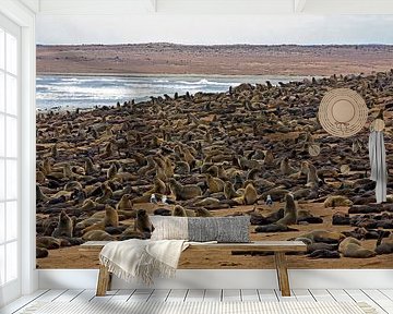Tienduizenden zeehonden bij Cape Cross in Namibië van WeltReisender Magazin