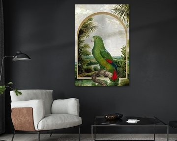 Parrot in Brazil sur Marja van den Hurk