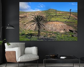 Valle del Rincon (Lanzarote) von Peter Balan