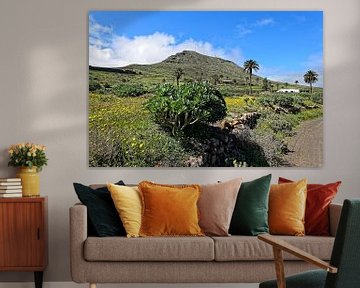 Valle del Rincon (Lanzarote) sur Peter Balan