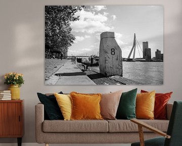 Rotterdam Erasmus Bridge by Bianca  Hinnen