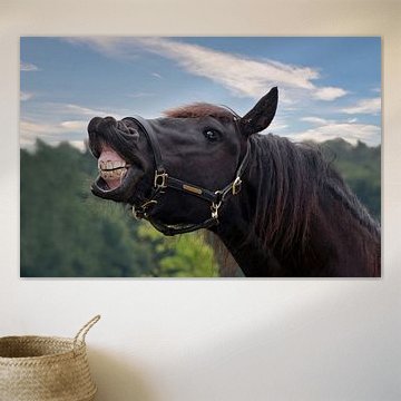 laughing horse