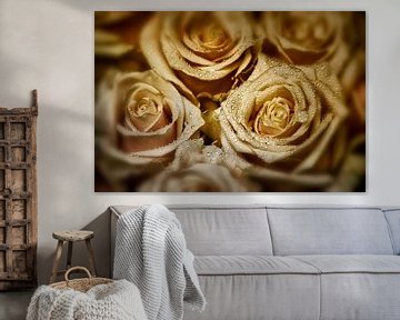 Elegant Roses - Champagne Glow by marlika art