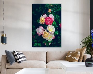 De tuin van rozen in alle kleuren van Carolina Reina