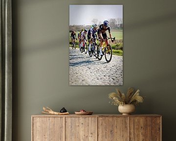 The heroes of the cobbled classics by FreddyFinn