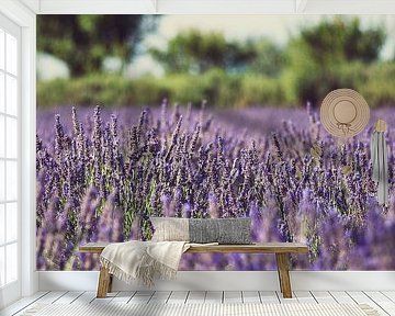 Field of lavender by Laura Vink