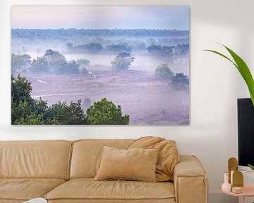 Heath landscape with fog