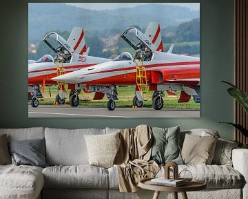 Aircraft from Patrouille de Suisse ready for demo. by Jaap van den Berg
