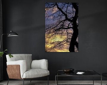 Silhouet van een boom met een prachtige lucht. van Sharon Steen Redeker