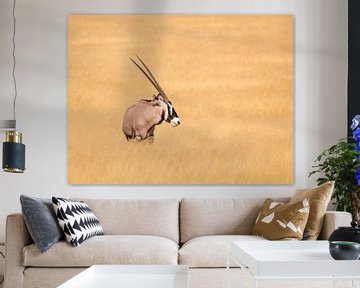 Oryx in gouden landschap van Omega Fotografie
